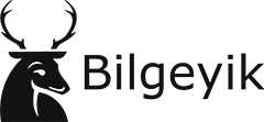 Bilgeyik